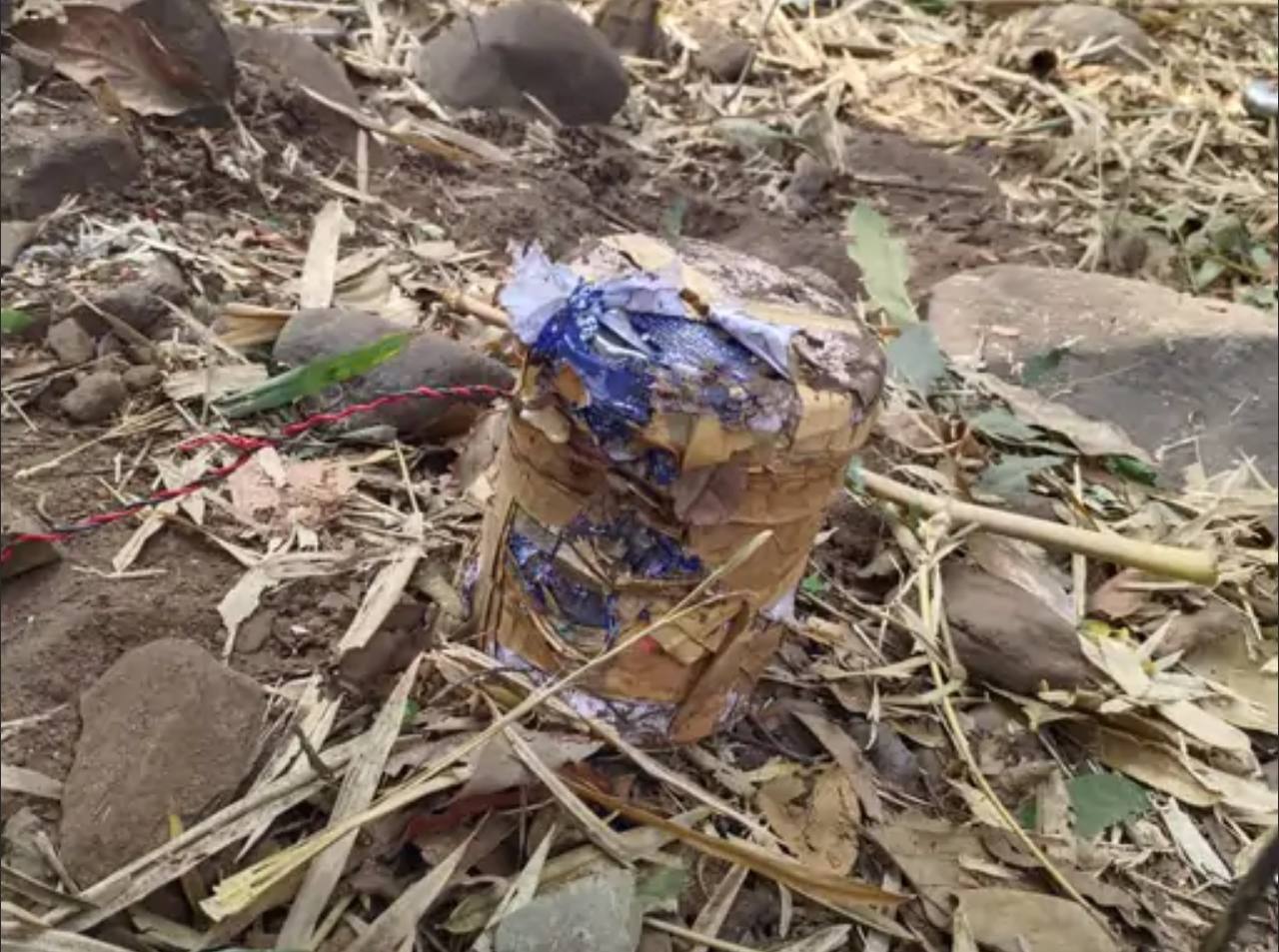 IMG_20250702_141317_346