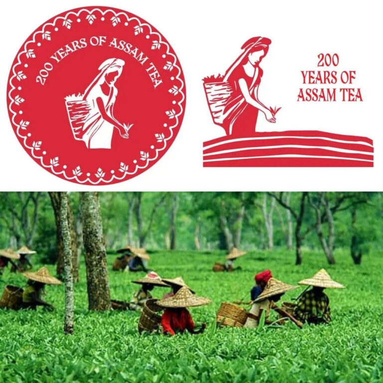 IMG_20250703_194222_935