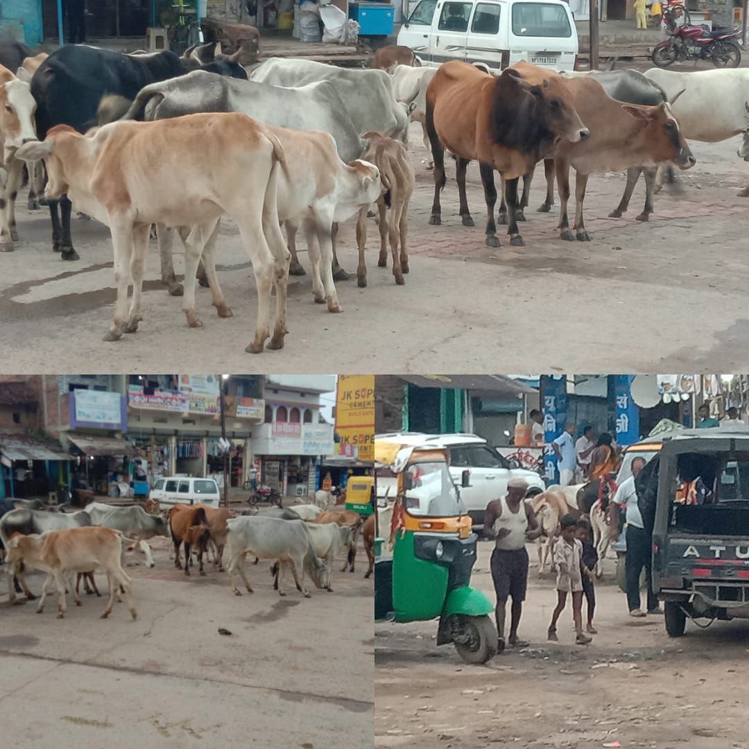 IMG_20250705_200859_647