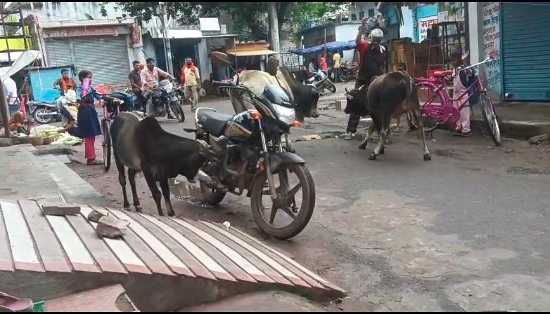 IMG_20250705_201720_091