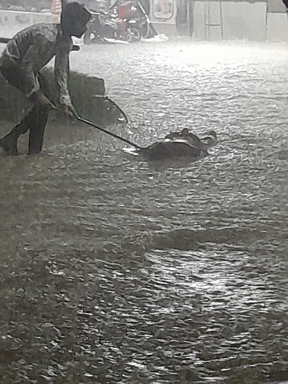 IMG_20250710_121059_520