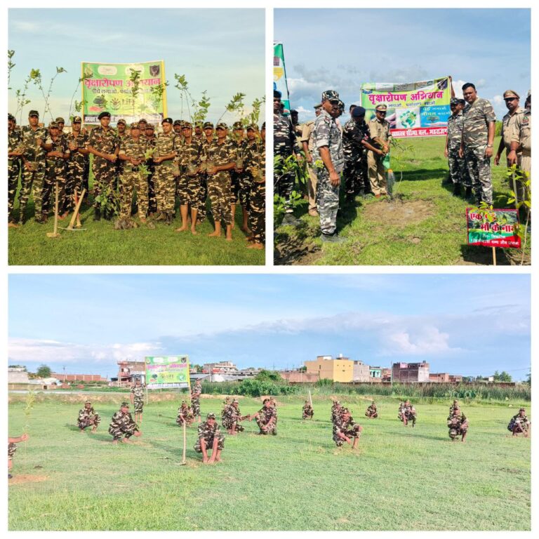 IMG_20250710_211603_403