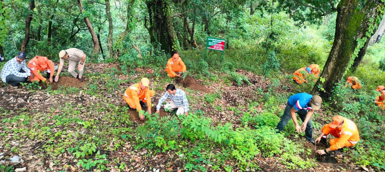 IMG_20250711_204353_648