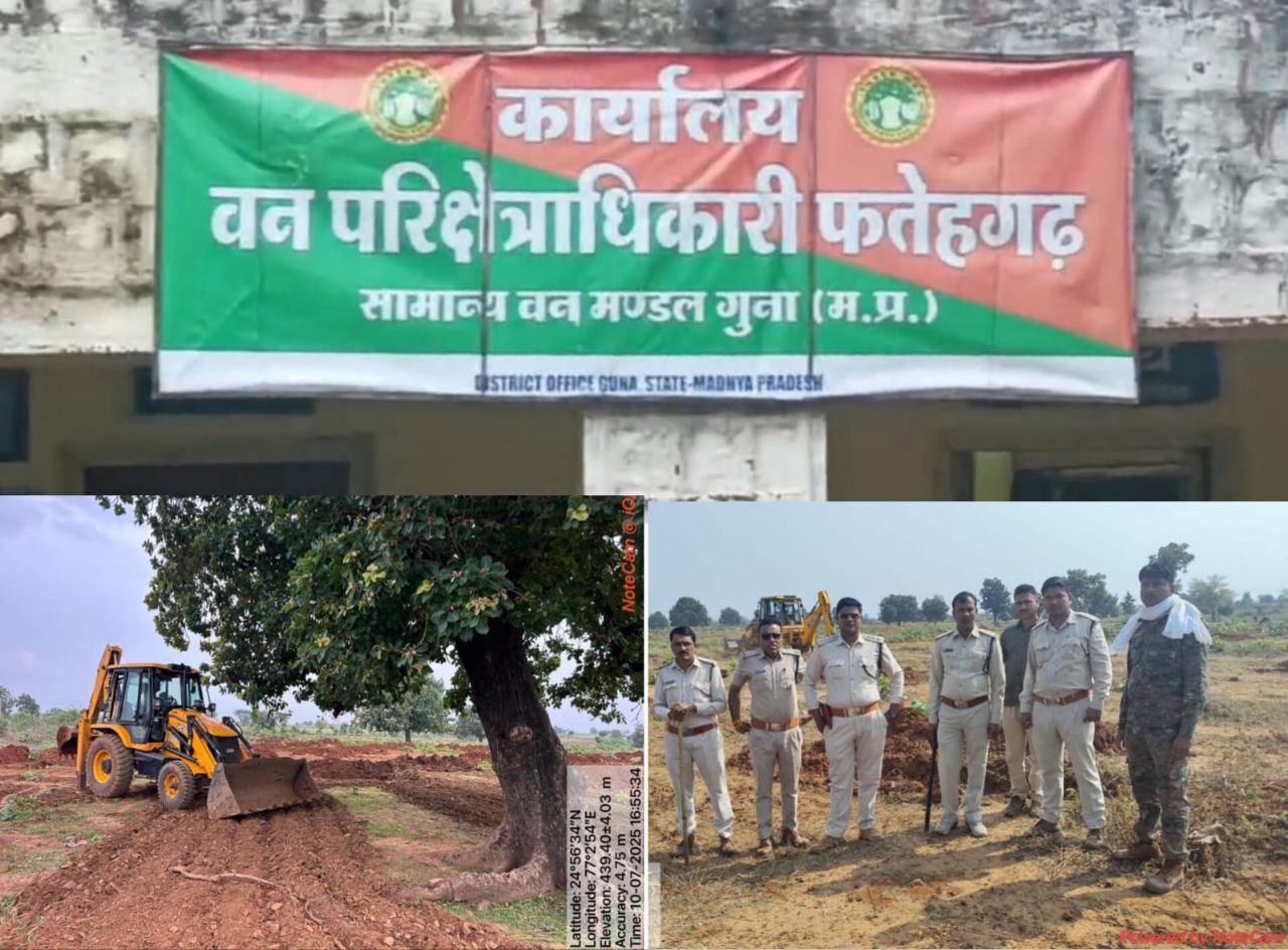 IMG_20250713_213919_969