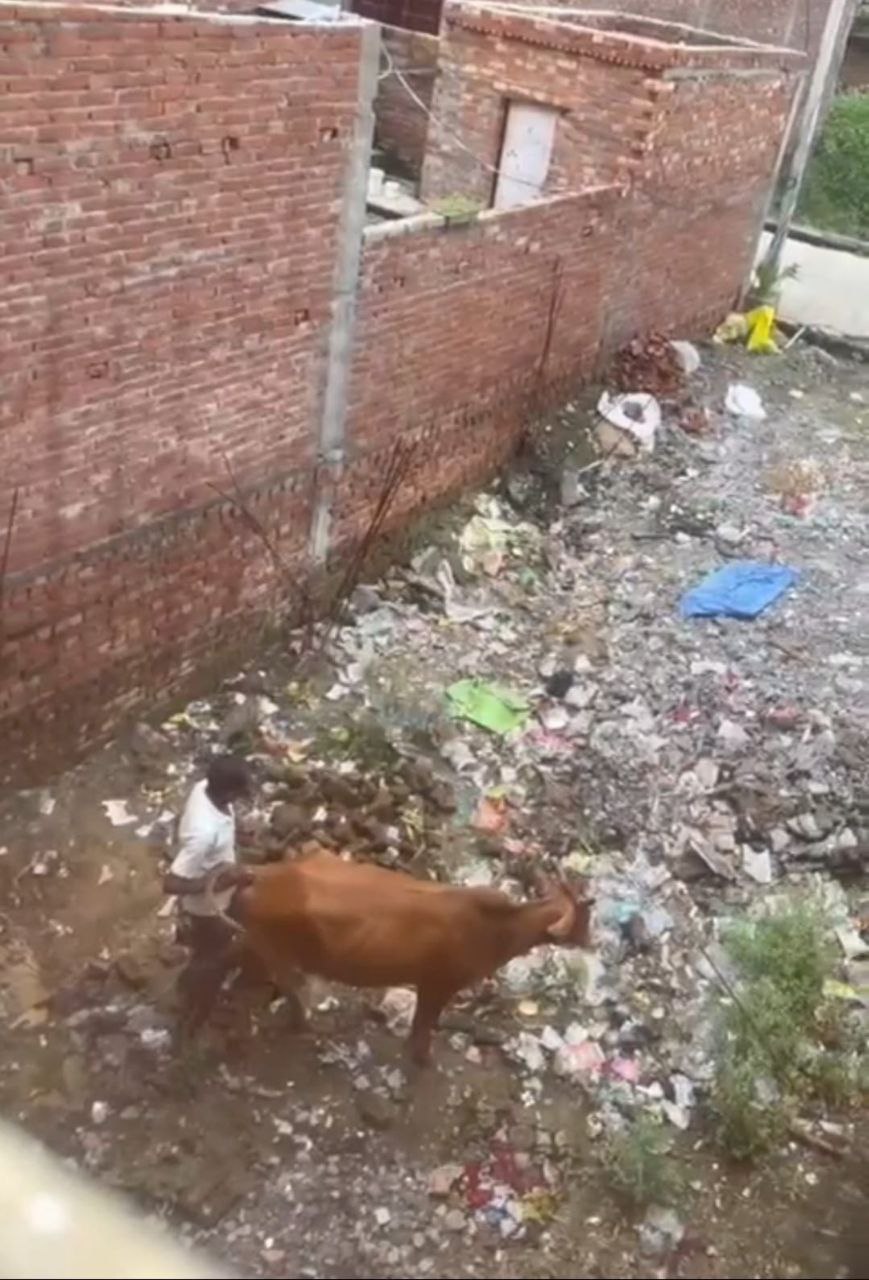 IMG_20250714_074808_563