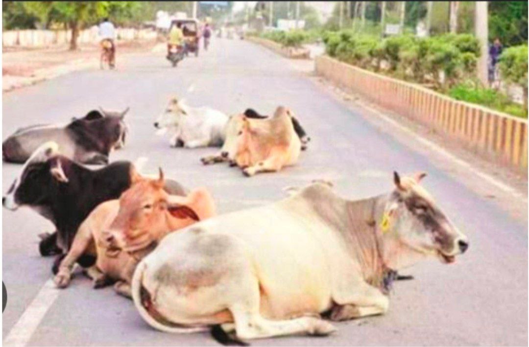 IMG_20250714_090338_125