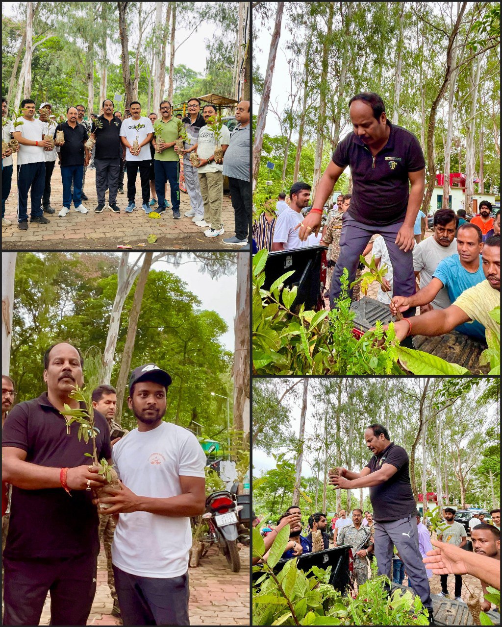 IMG_20250714_134442_300