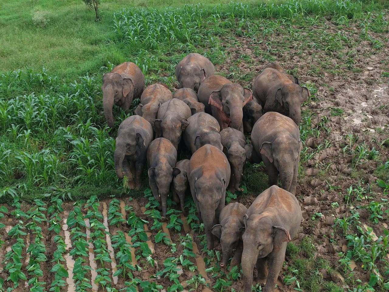 IMG_20250714_134814_225