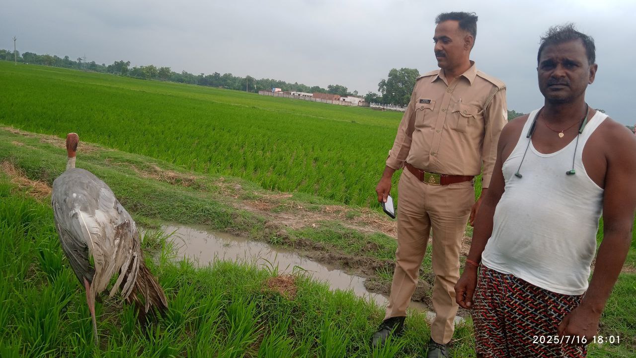 IMG_20250717_082800_057