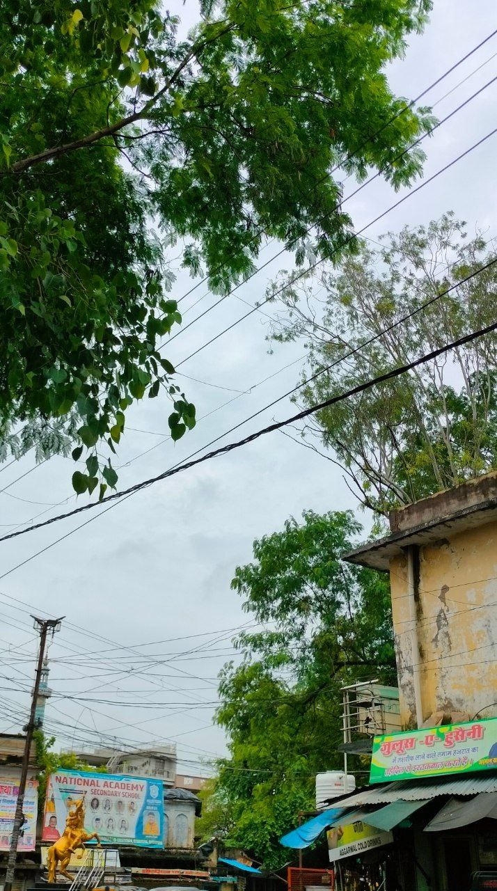 IMG_20250718_122903_245