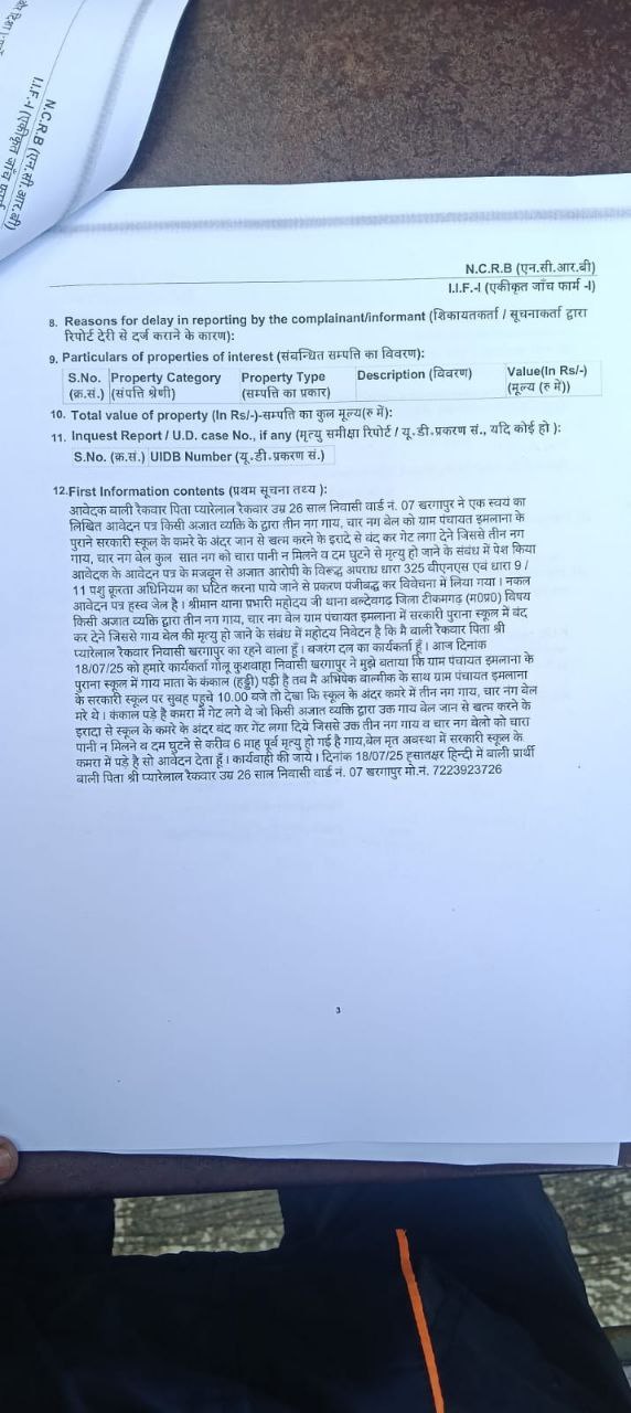 IMG_20250718_215535_005