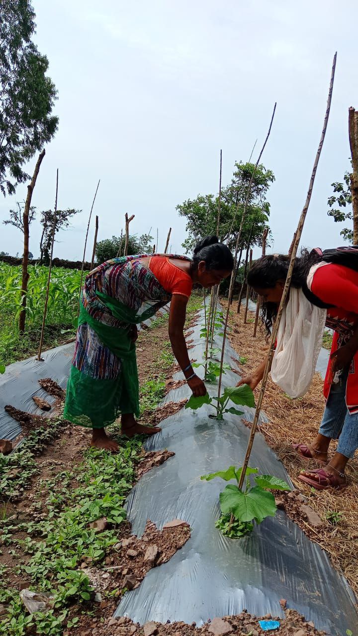 IMG_20250719_121123_379