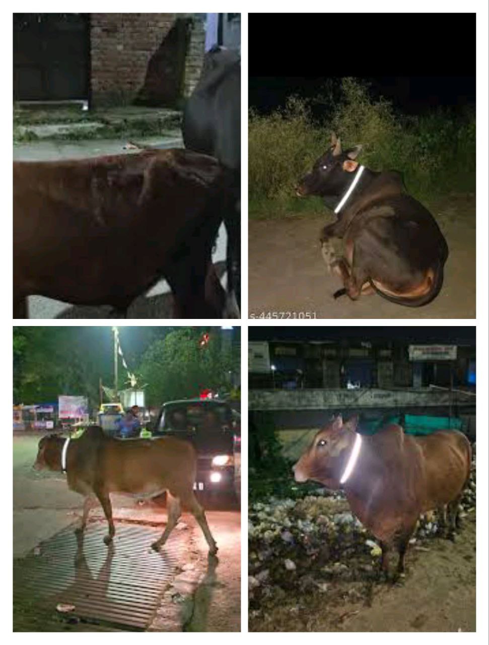 IMG_20250720_081828_298