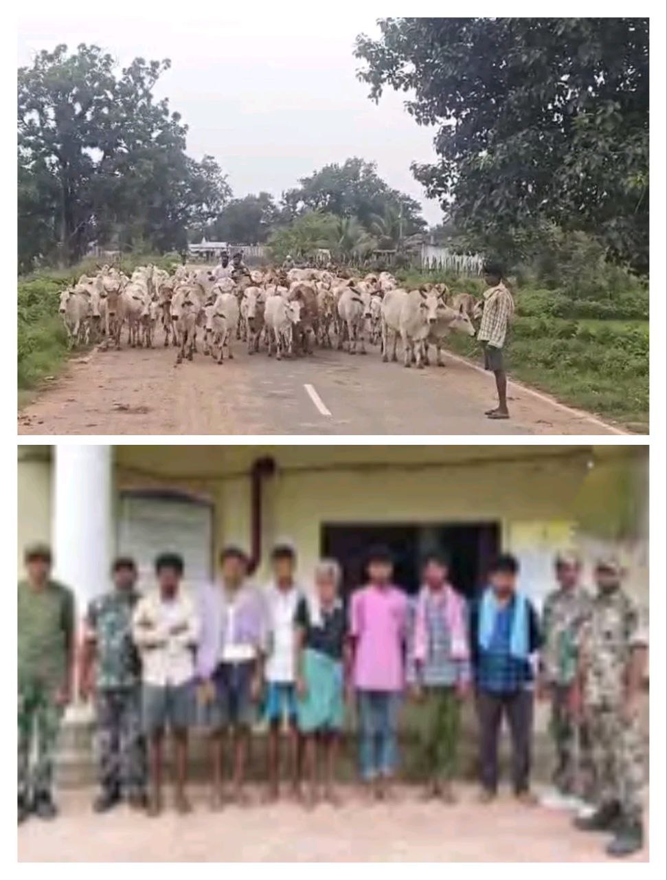 IMG_20250721_145127_475