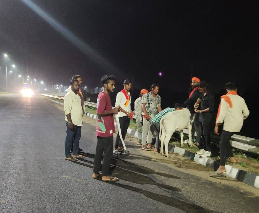 IMG_20250723_181225_155