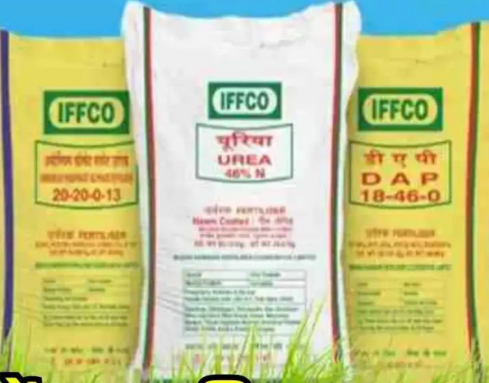 IMG_20250723_191837_866