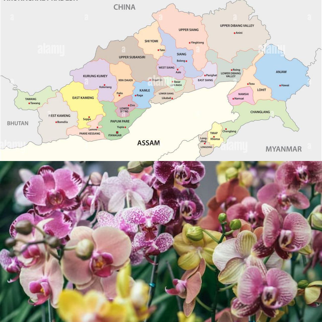 IMG_20250724_172859_796