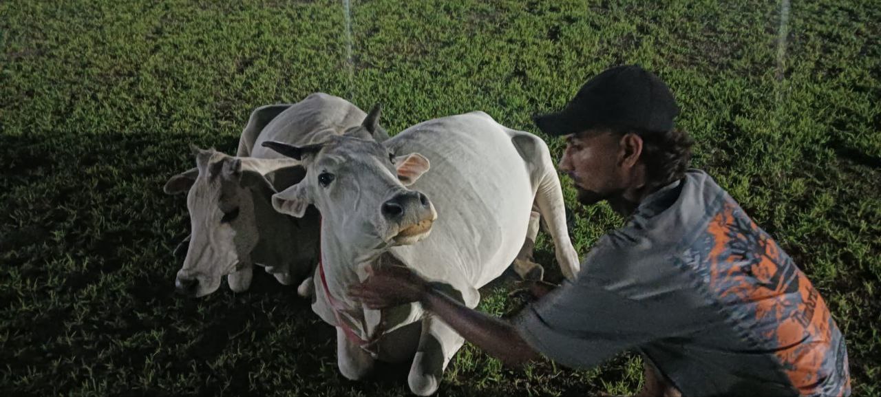 IMG_20250725_095351_367