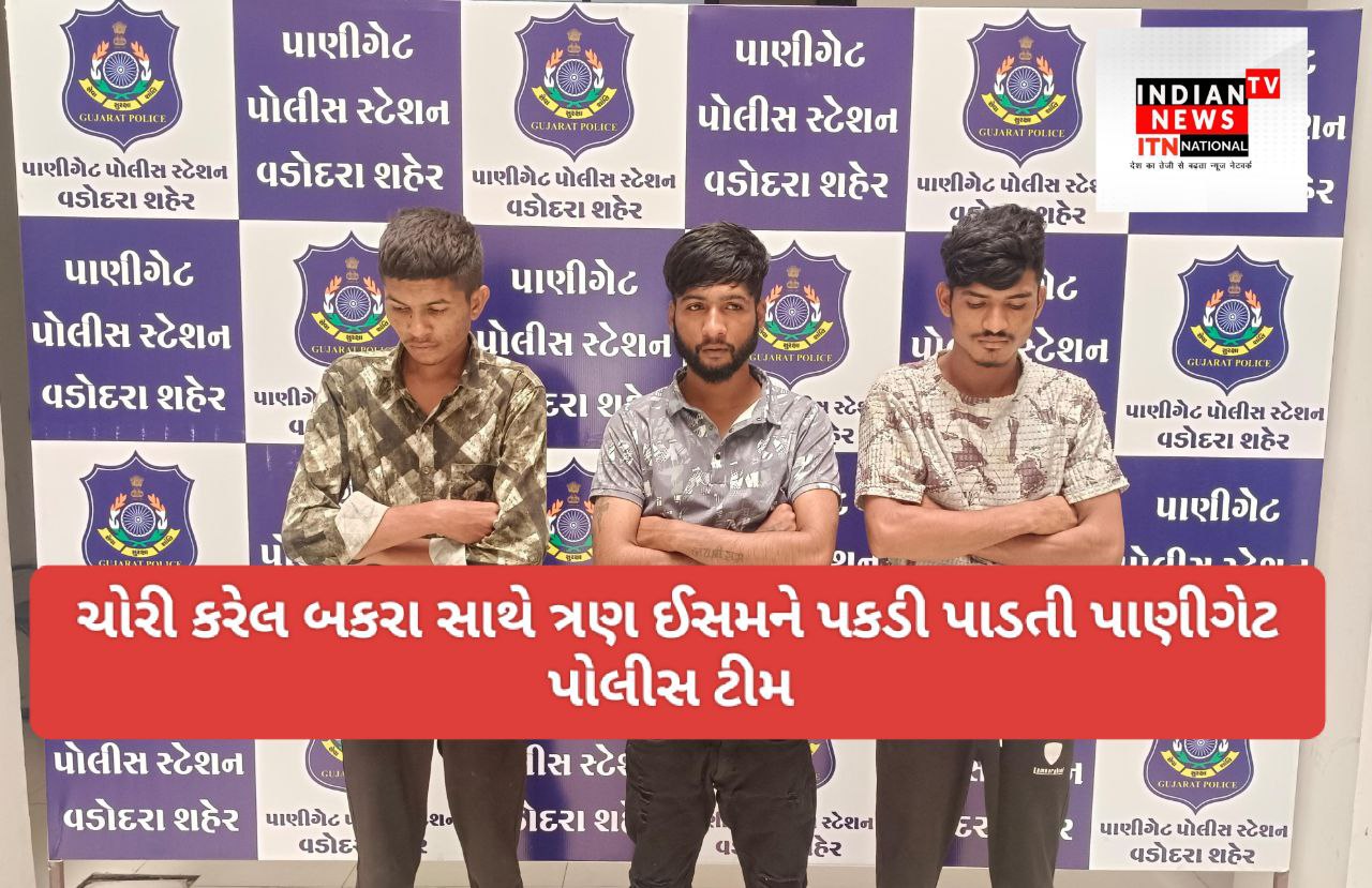 IMG_20250726_204845_704