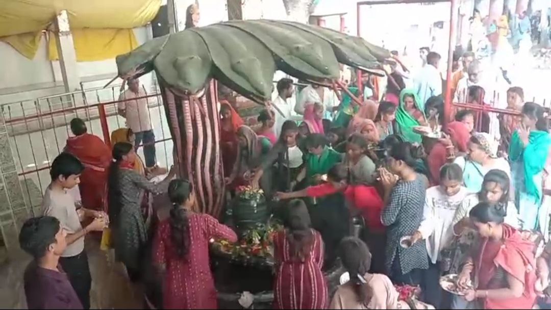 IMG_20250729_194953_008