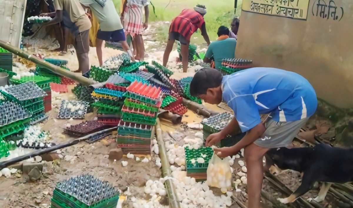 IMG_20250729_211740_058