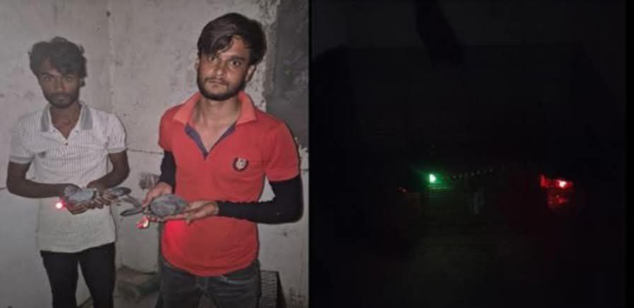 IMG_20250731_100051_850