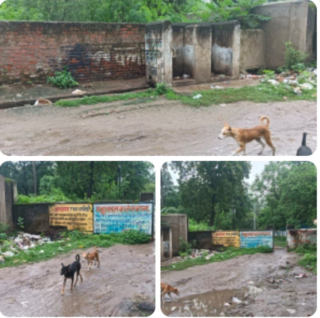 IMG_20250731_151128_015