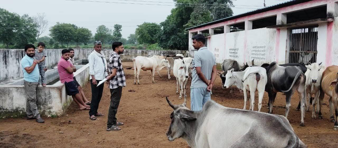 IMG_20250803_082342_167