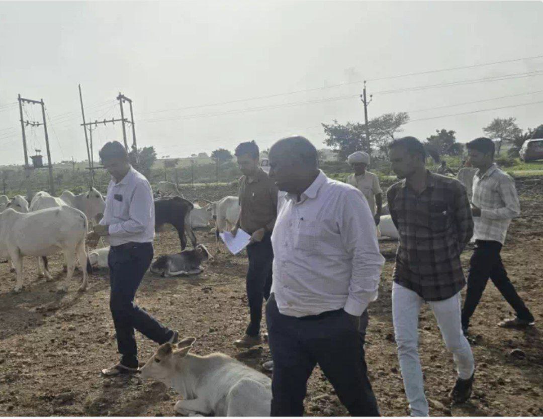 IMG_20250803_101523_580