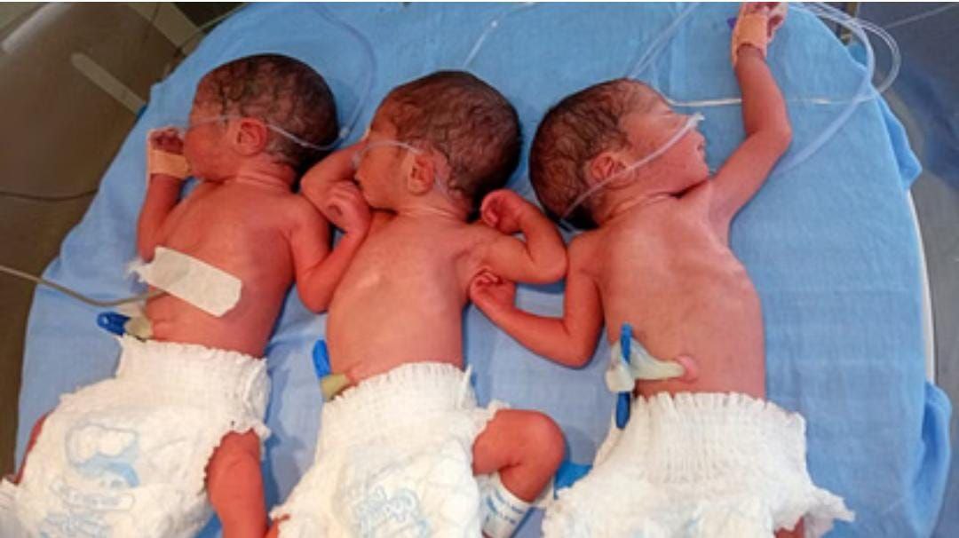 IMG_20250803_215133_144