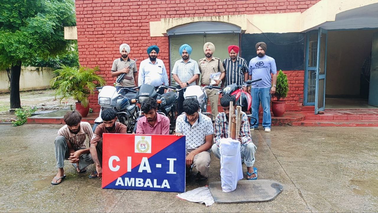 IMG_20250804_194446_217