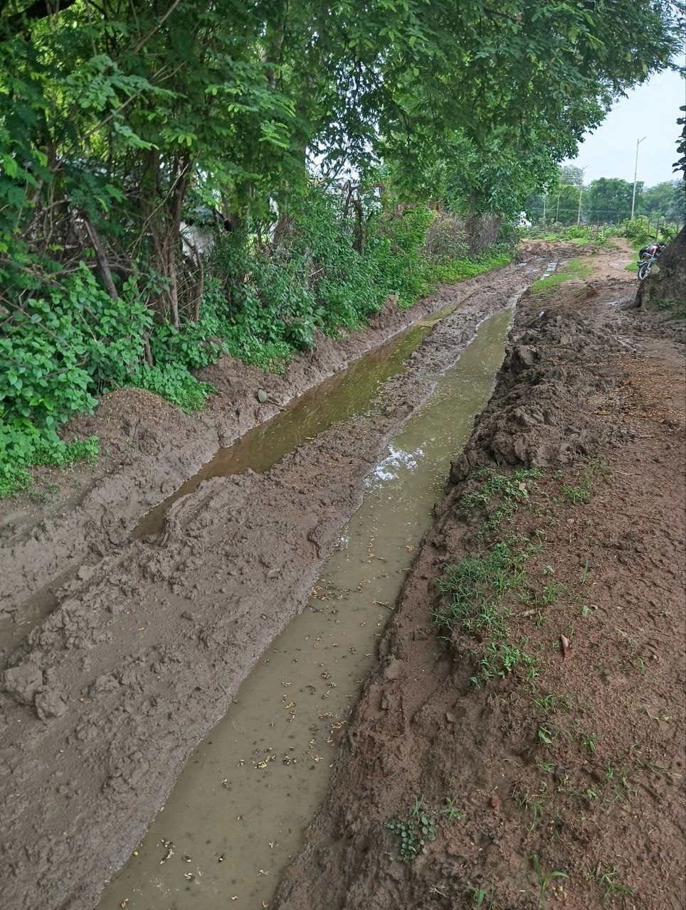 IMG_20250807_084937_016