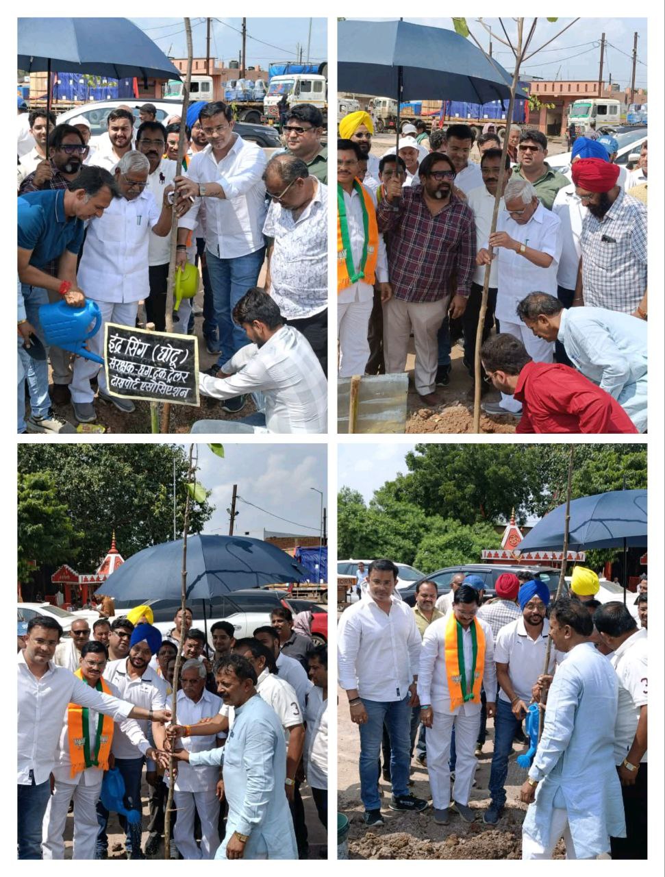 IMG_20250807_085639_977