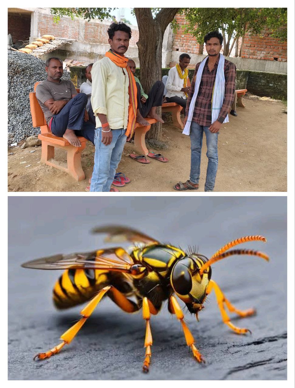 IMG_20250807_133726_845