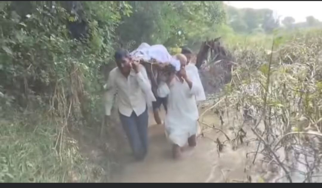 IMG_20250807_183611_881