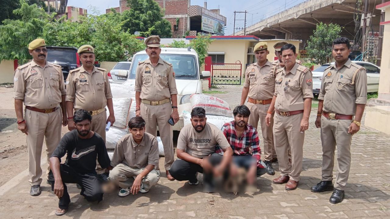 IMG_20250808_093506_625