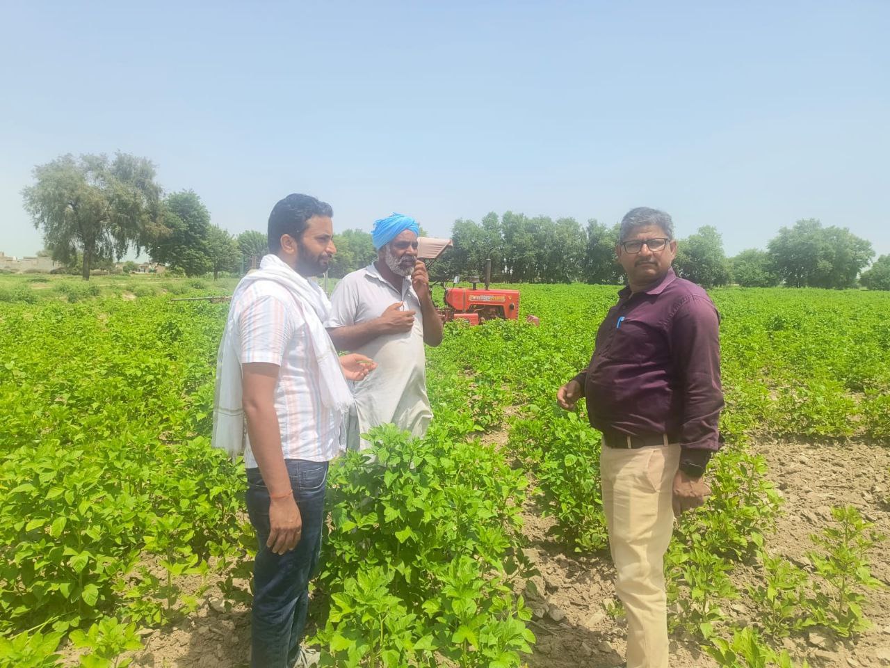 IMG_20250810_121705_965