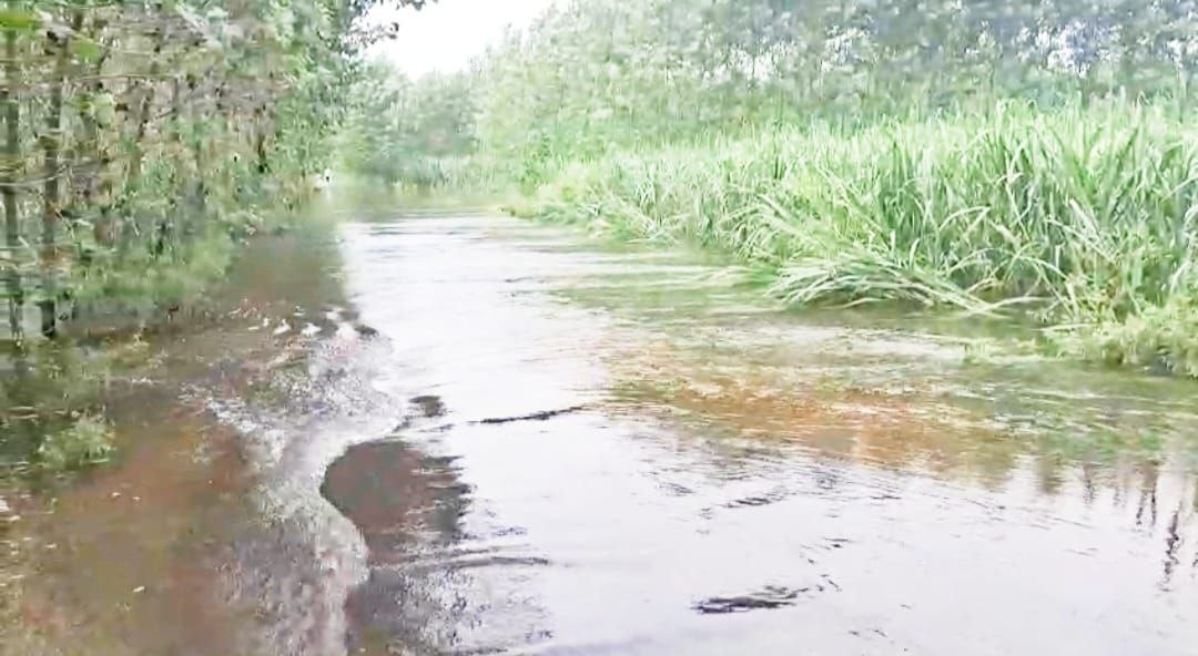 IMG_20250810_165037_021