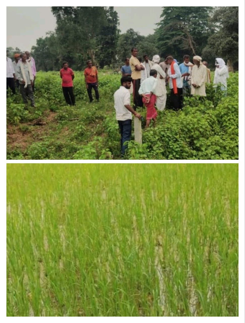 IMG_20250811_214554_614