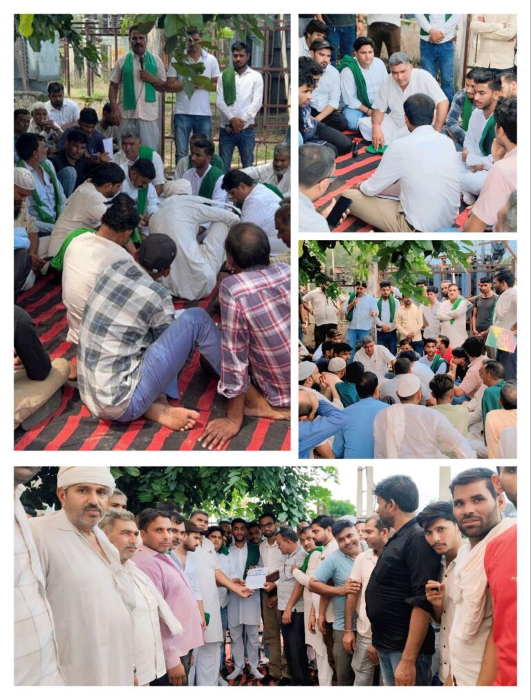 IMG_20250814_150316_606