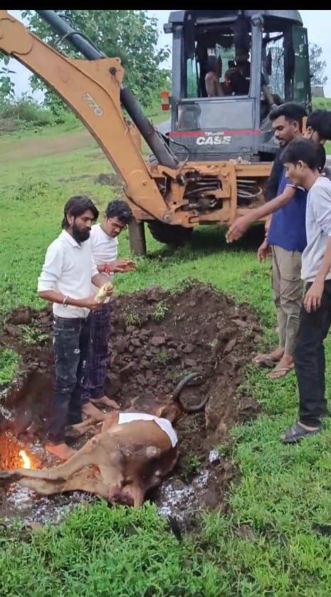 IMG_20250816_150437_905