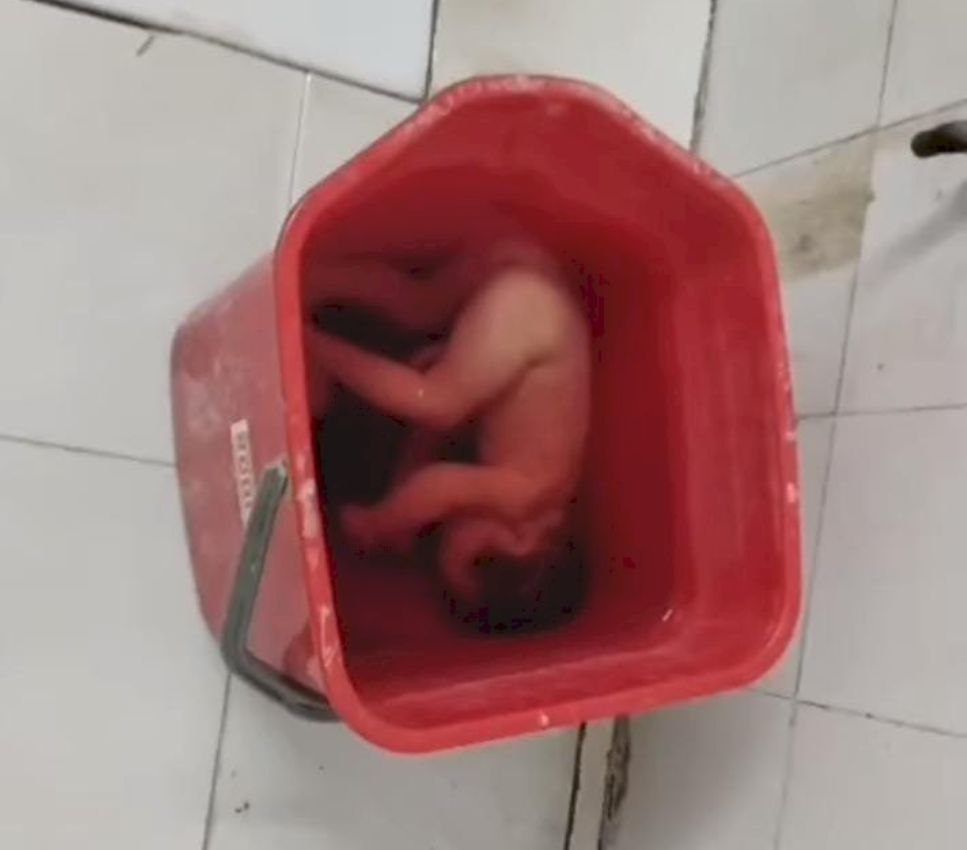 IMG_20250817_134017_552