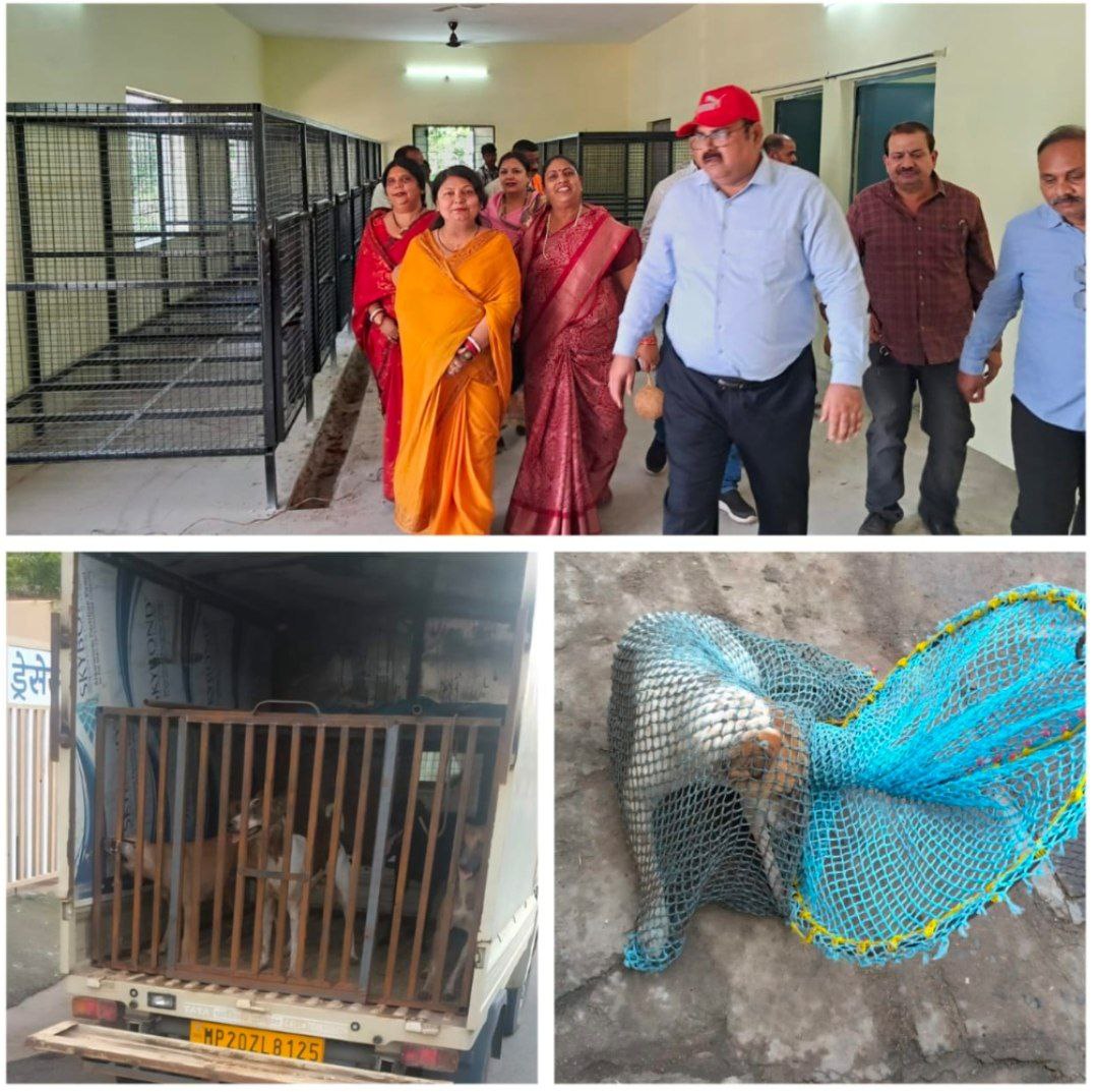 IMG_20250818_174127_307