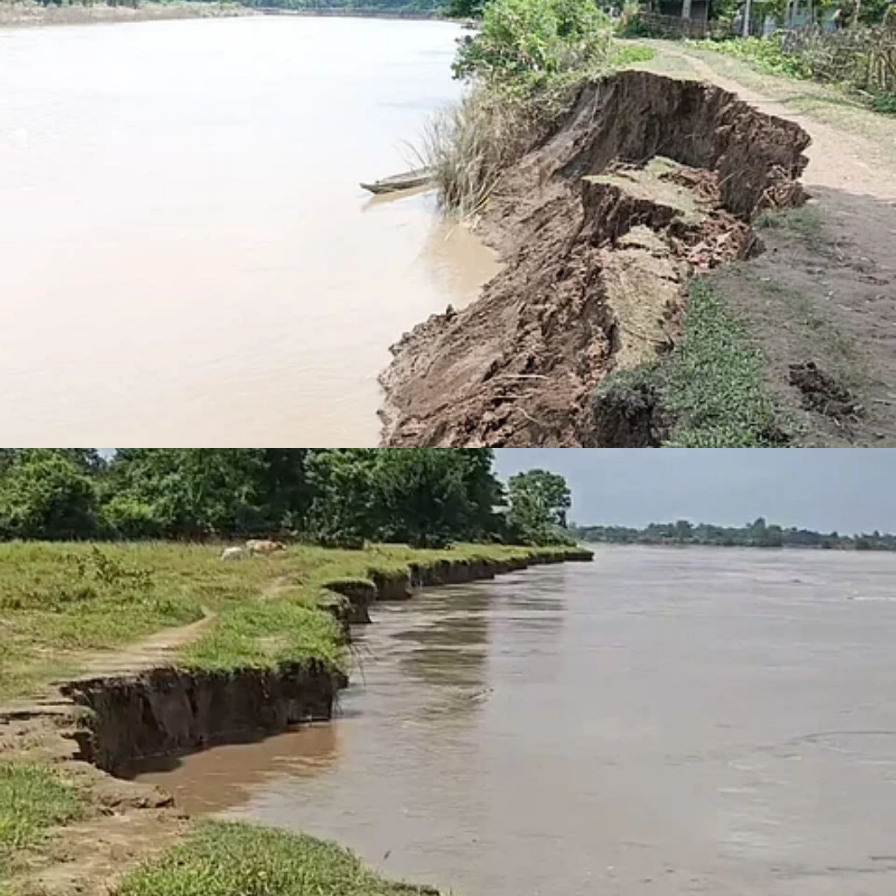 IMG_20250820_142309_793