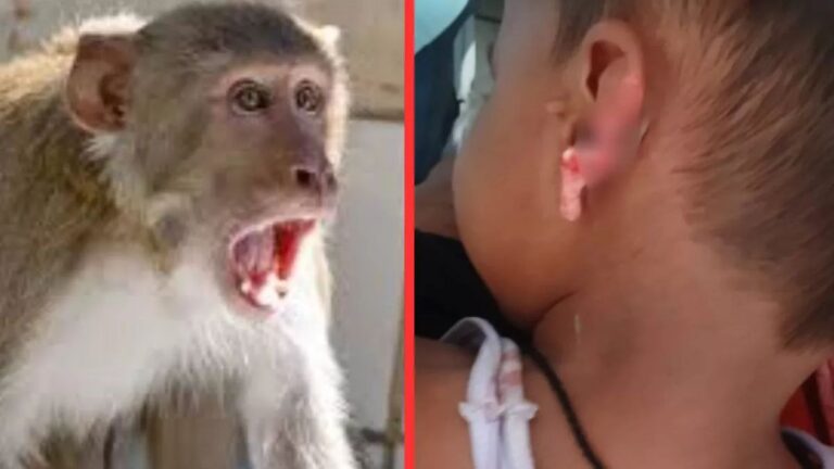 IMG_20250826_172537_818