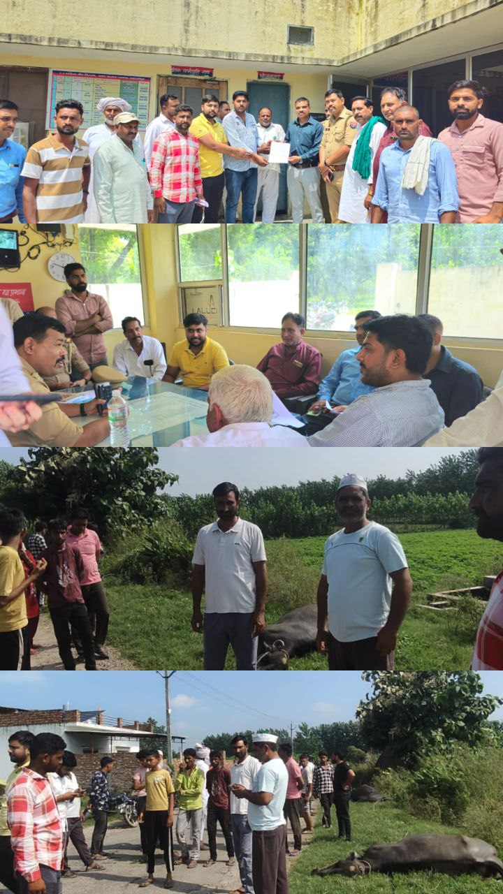 IMG_20250827_175100_077