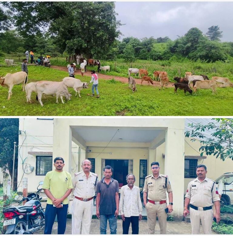 IMG_20250827_213147_726