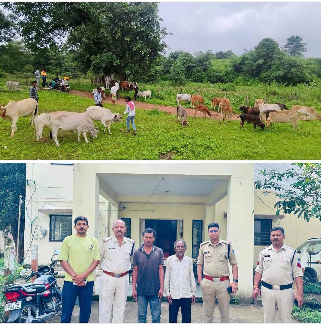 IMG_20250827_213147_726