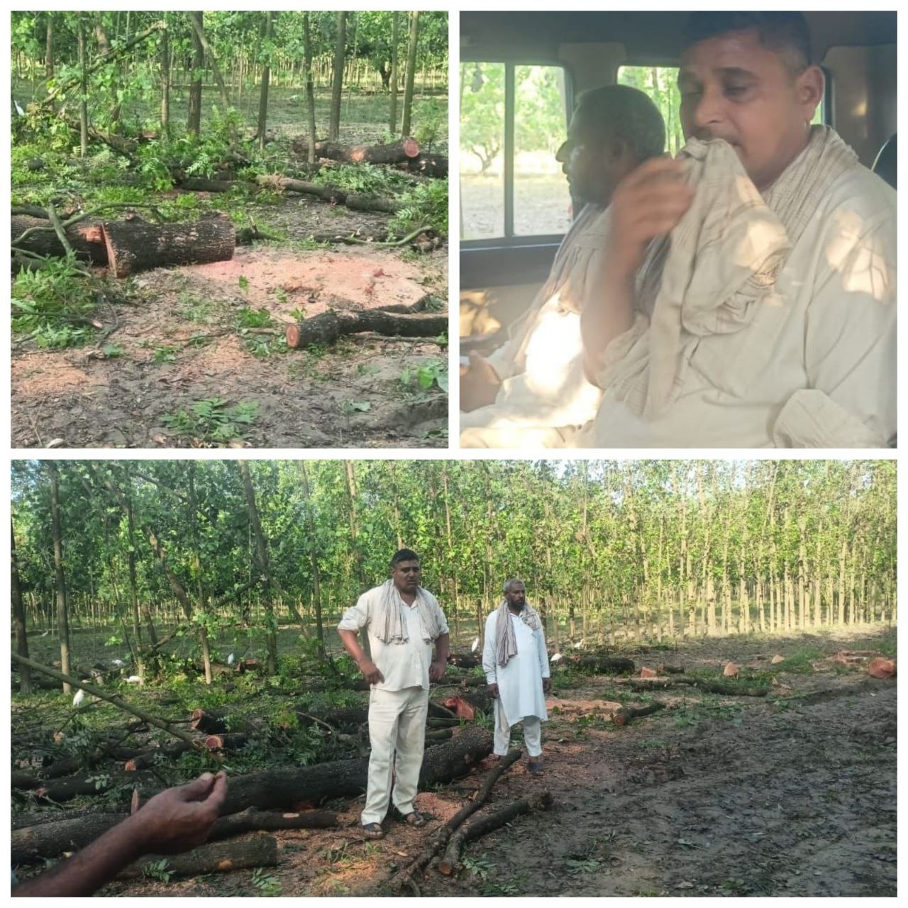 IMG_20250830_104835_325