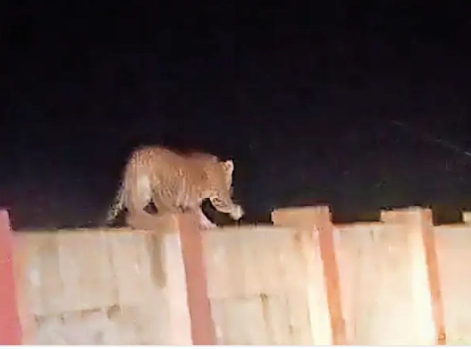 IMG_20250830_125644_908